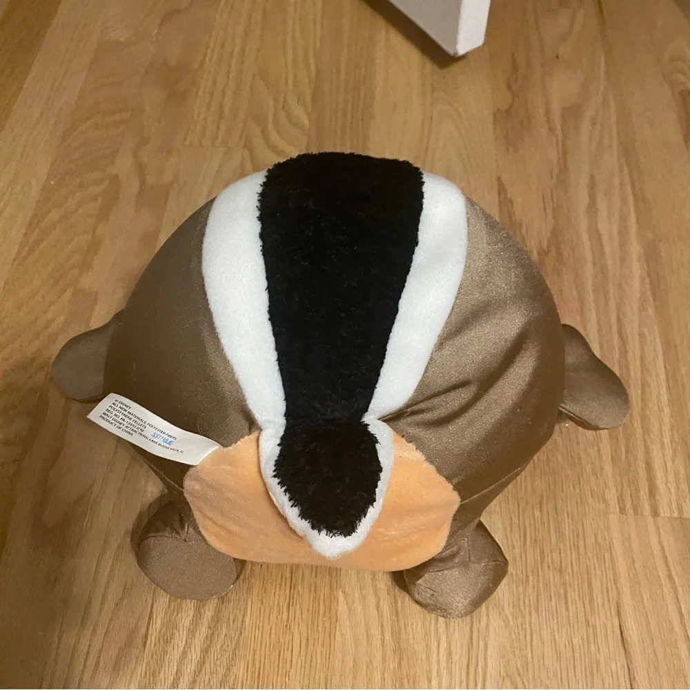 Disney World Authentic Beanie Ball Dale Chipmunk 11